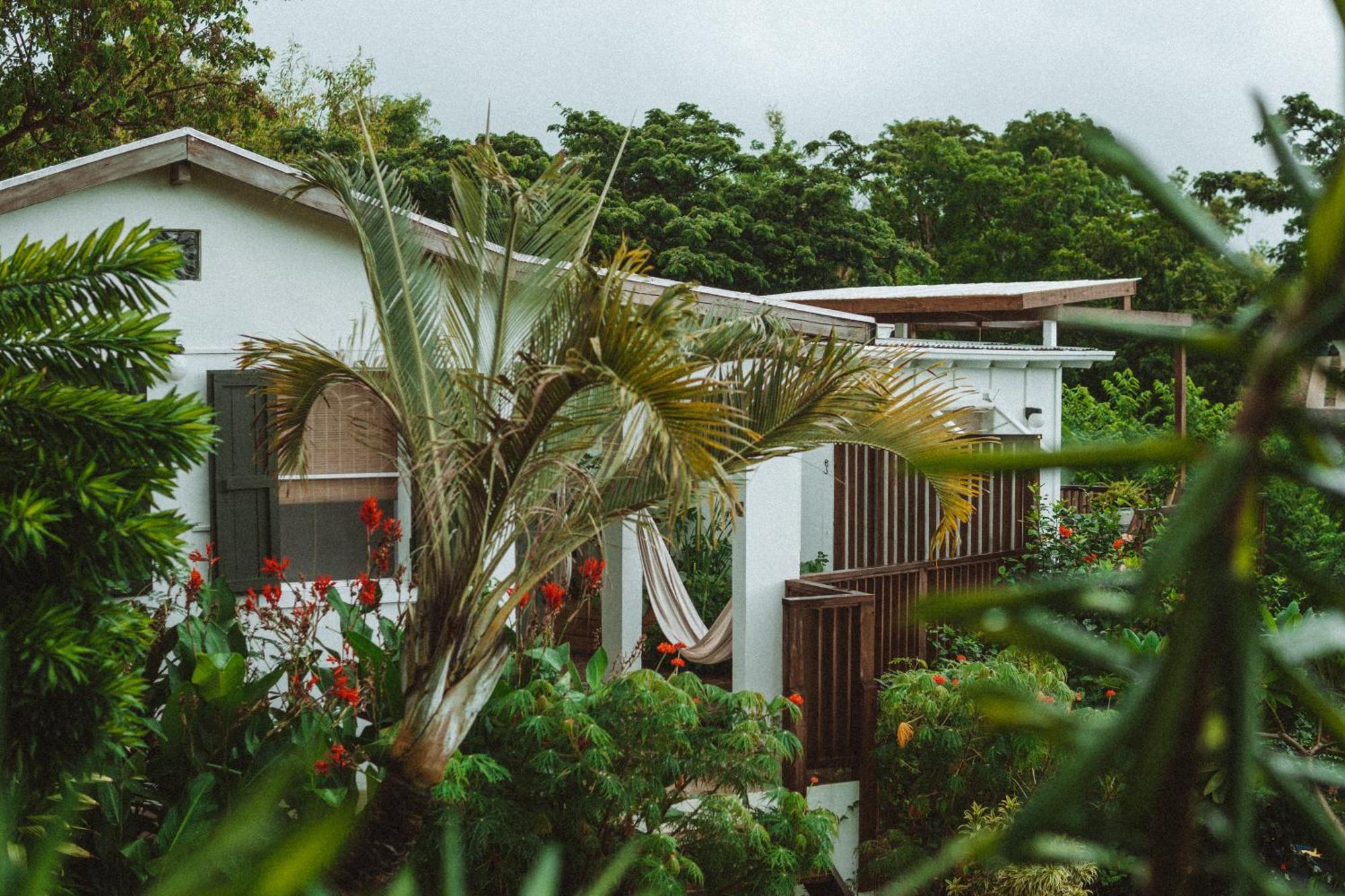 Finca Victoria Vieques Exterior photo
